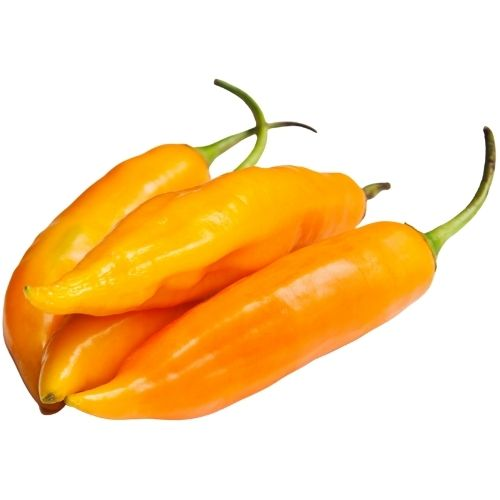 Aji Amarillo Santandereano